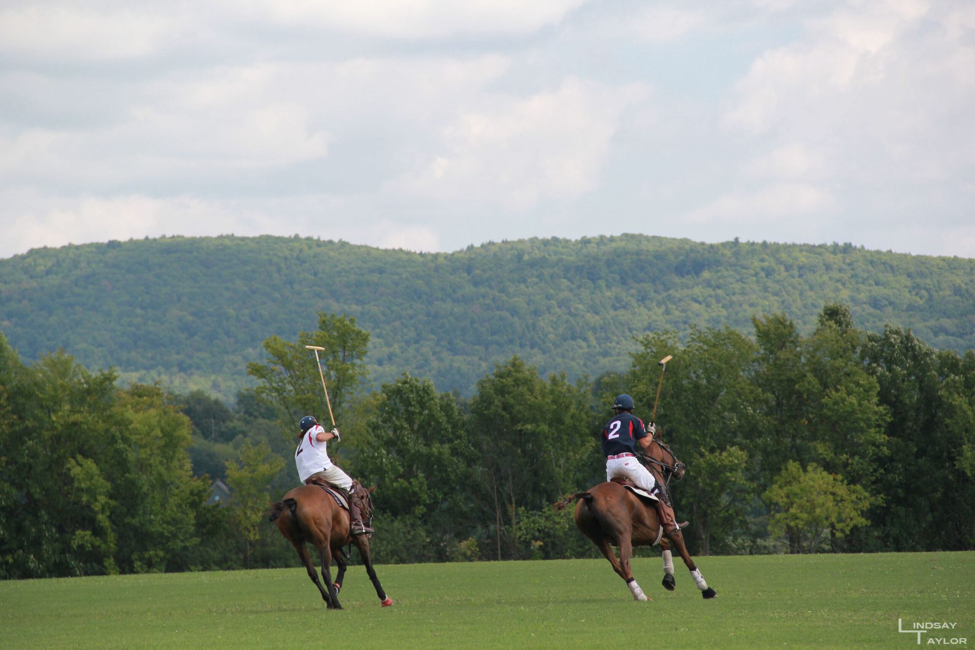 Two people are riding horses in a field playing polo.