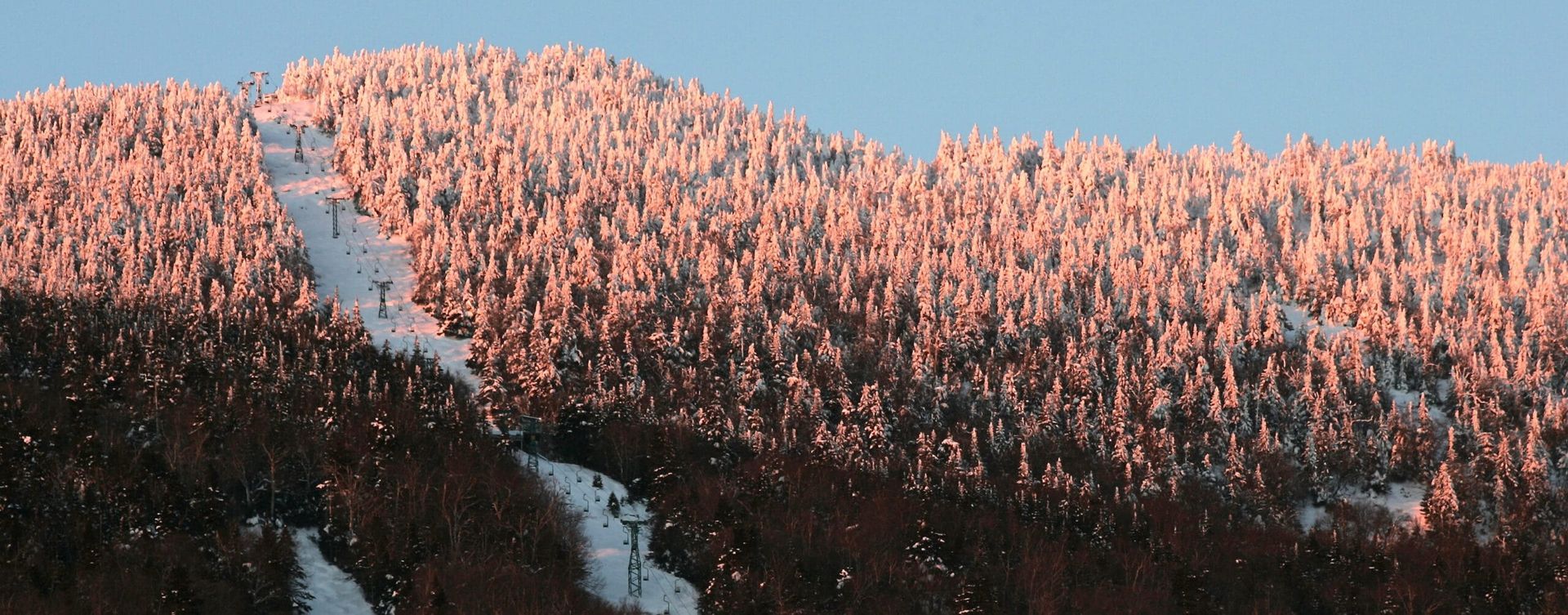 A mountain covered in snow and trees with a blue sky in the background