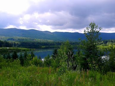 A lake surrounded by trees and mountains on a cloudy day.
