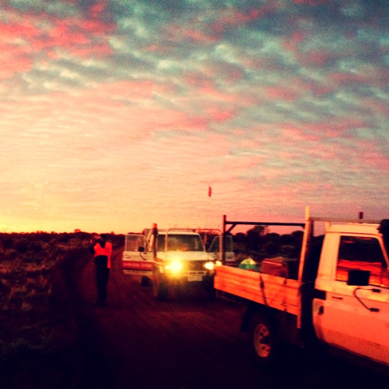 Two work trucks on a dirt road at dawn; person in orange vest walking towards trucks; pink and blue sky.