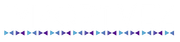 Importvez - Logo