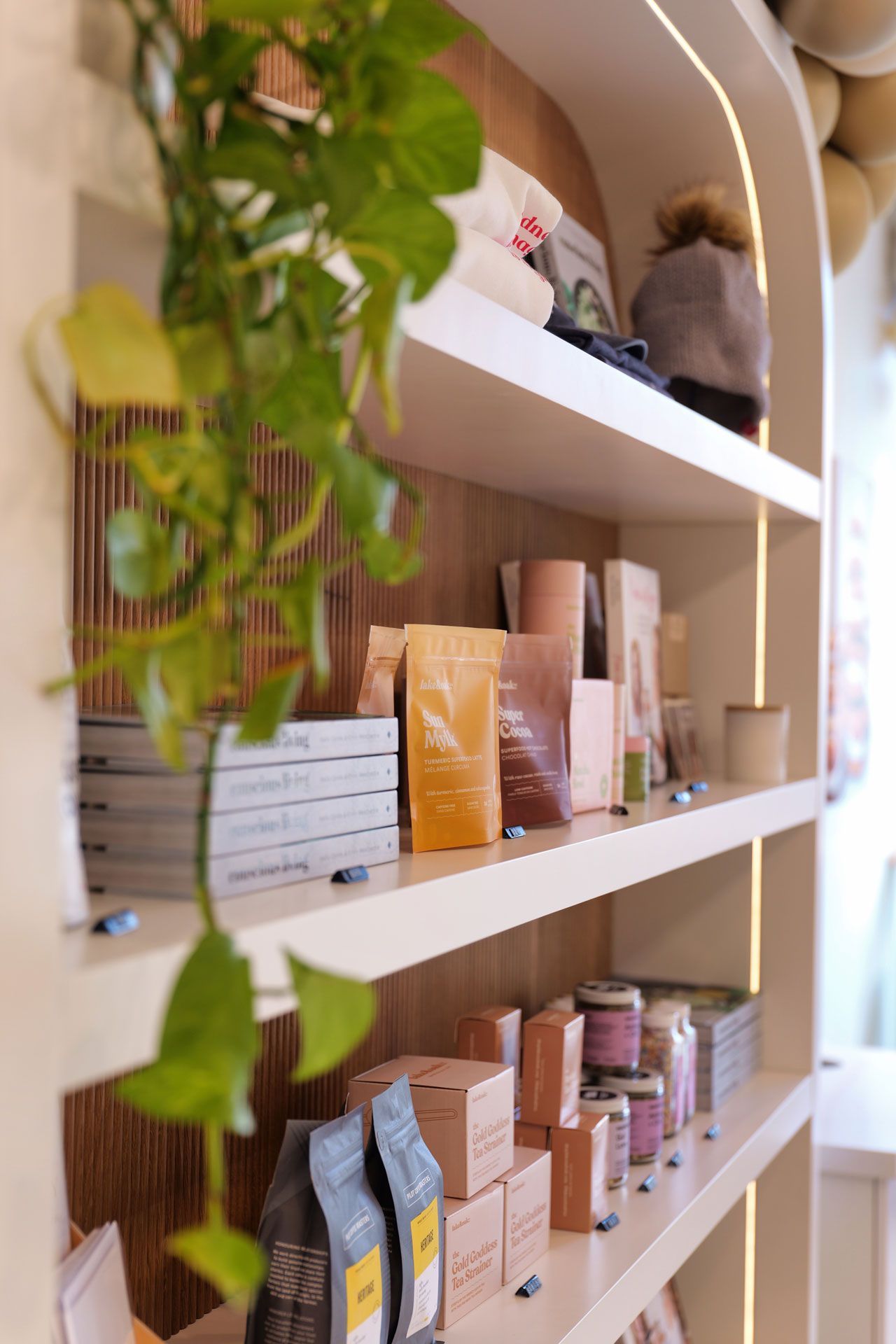 Shelves with skincare products and a hanging plant, inside a well-lit shop.