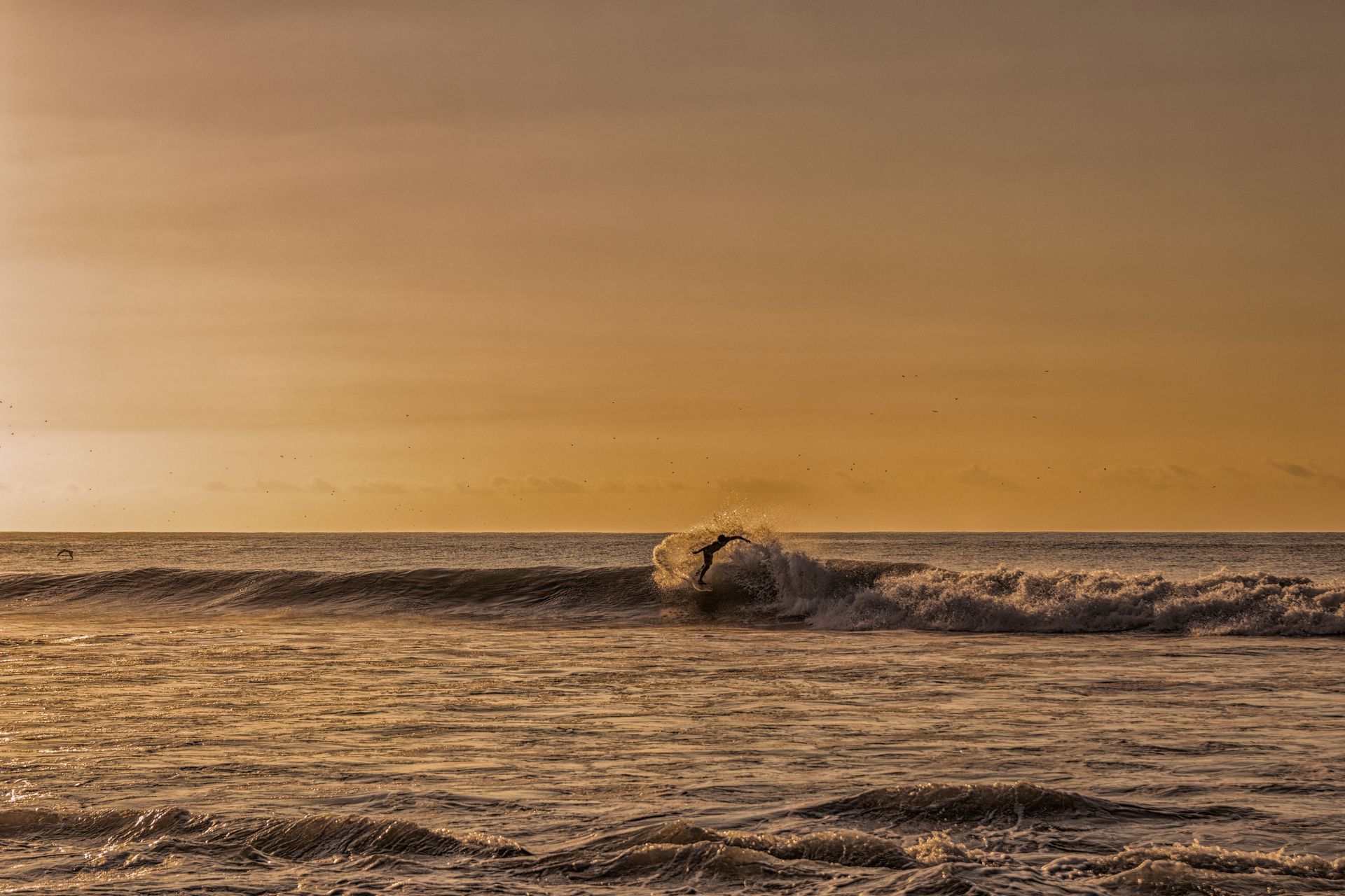 Ola rompiendo en el océano al atardecer; luz dorada.