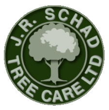 JR Schad Tree Care Ltd are tree surgeons based in Braco, Dunblane working throughout Perthshire and surrounding areas of Scotland