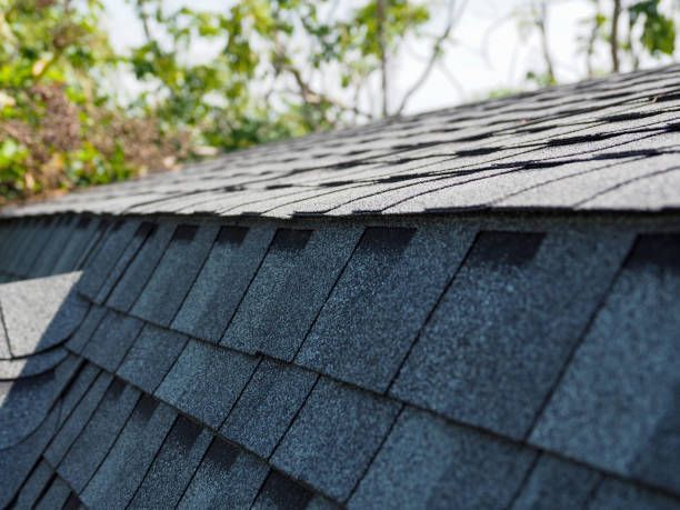 A close up of a roof with shingles and trees in the background.