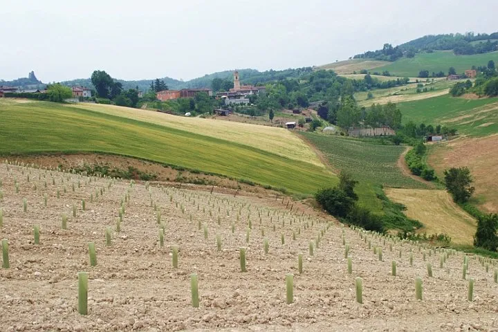 panorama dal ristorante