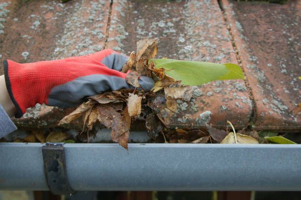 A Person Wearing Red Gloves Is Cleaning A Gutter With Leaves | Jefferson, NC | Sheets Brothers, Inc.