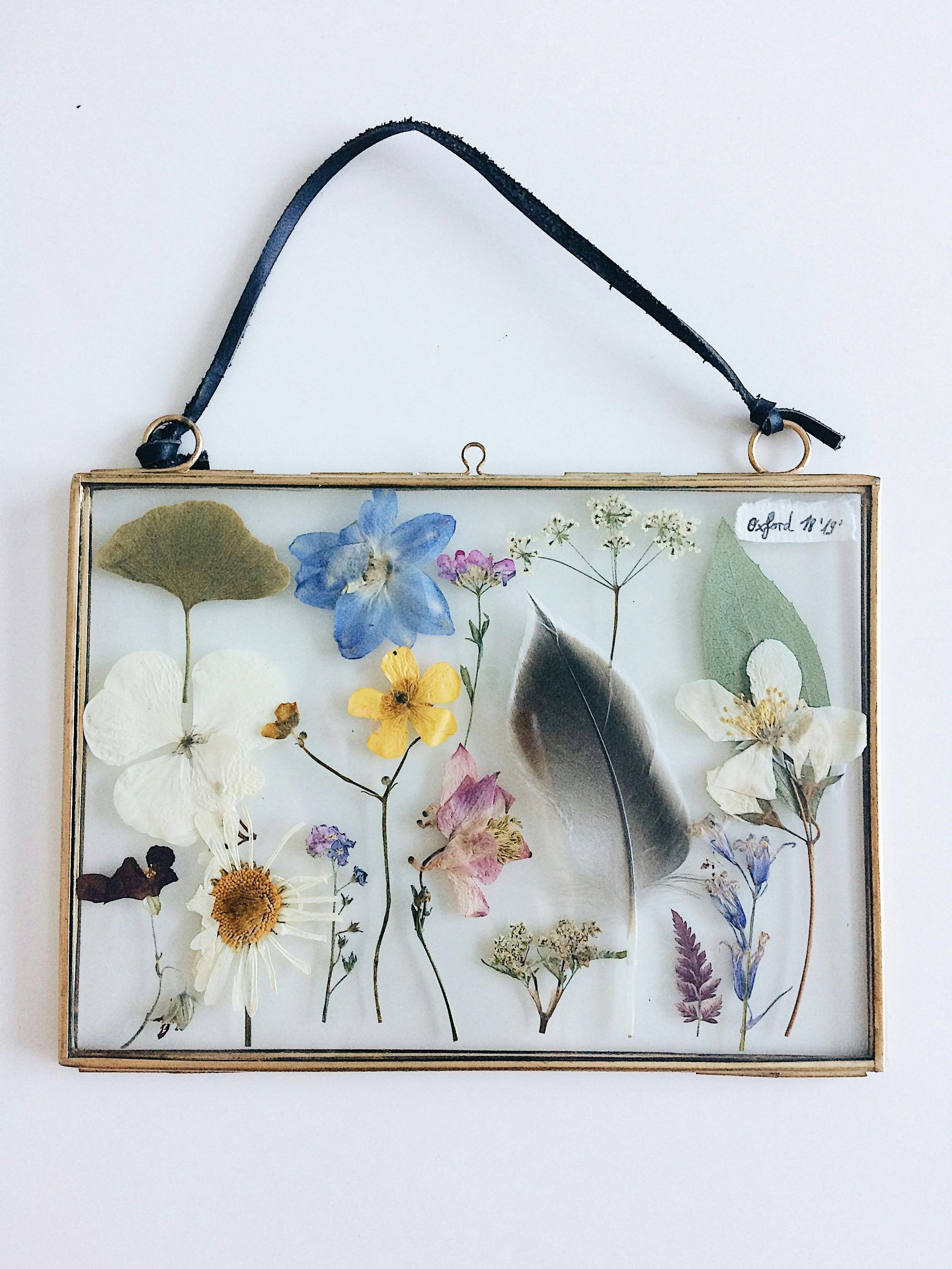 A picture frame with pressed flowers and a feather in it