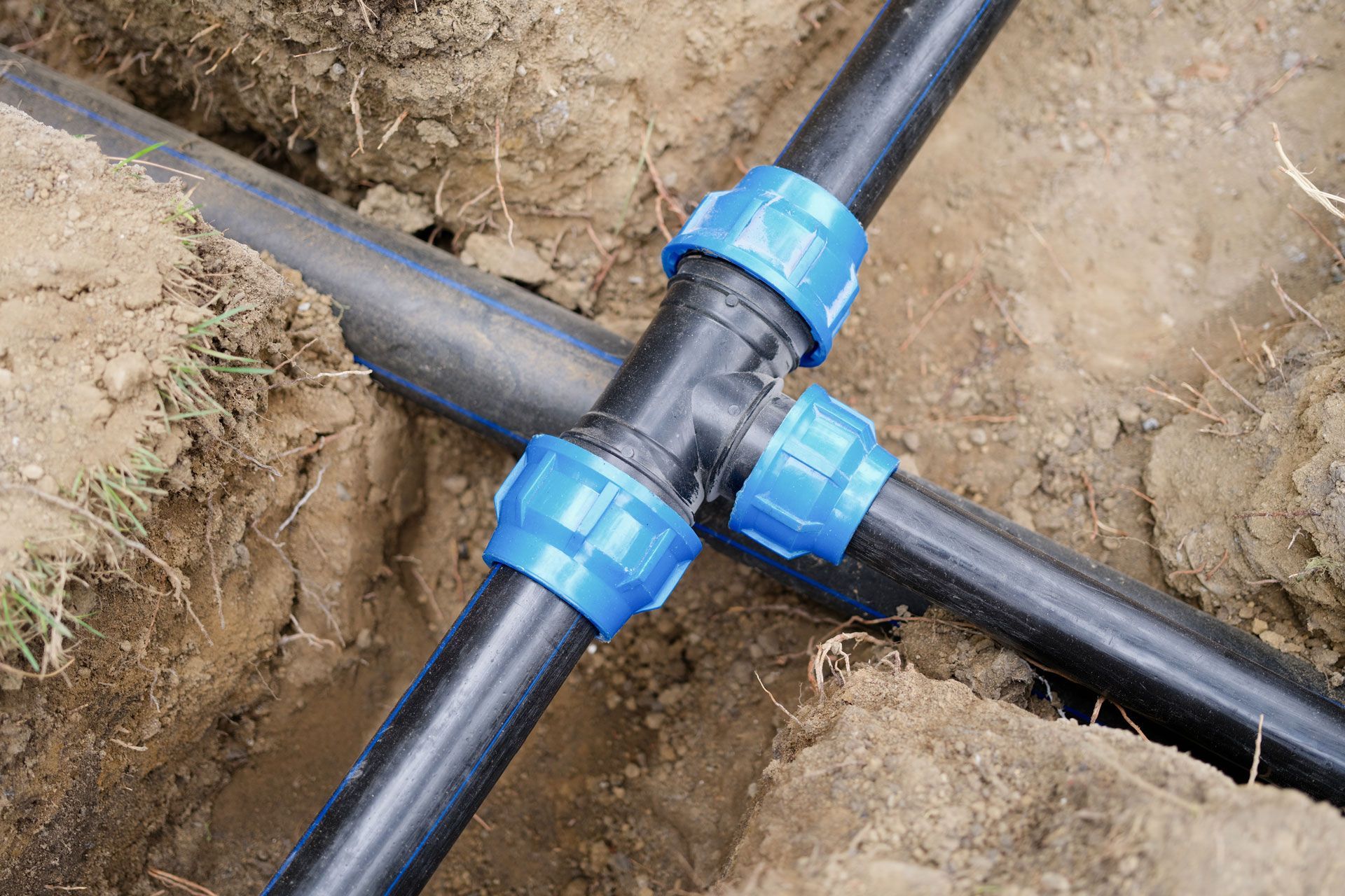 Black irrigation pipes and blue fittings in a dirt trench.