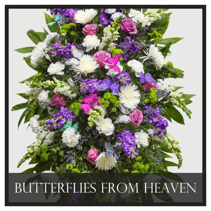 Butterflies from Heaven