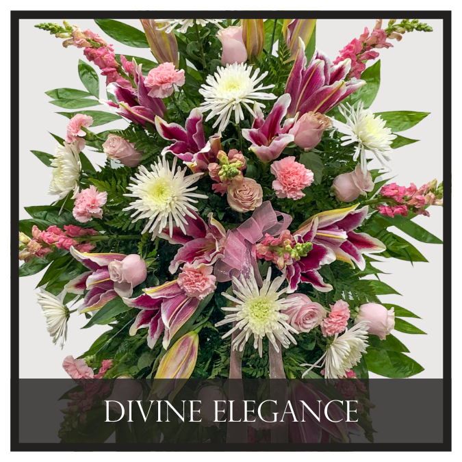 Divine Elegance