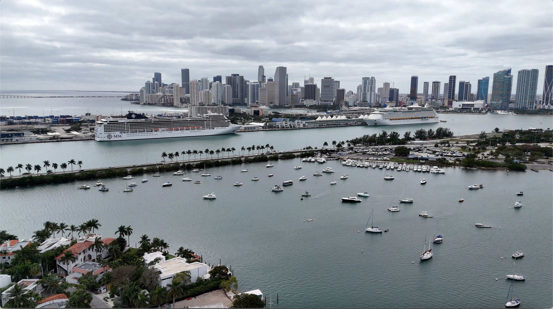 The Miami Skyline