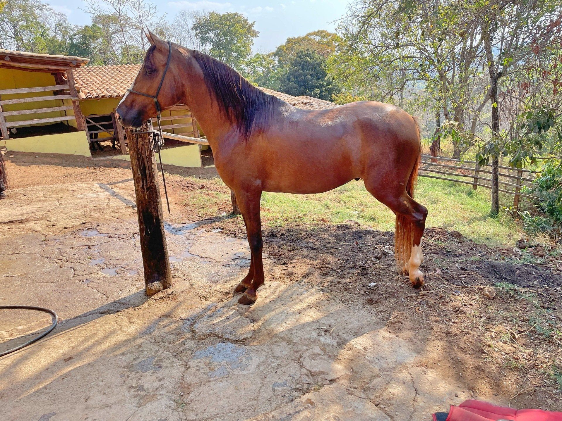 Faísca do Derrubado