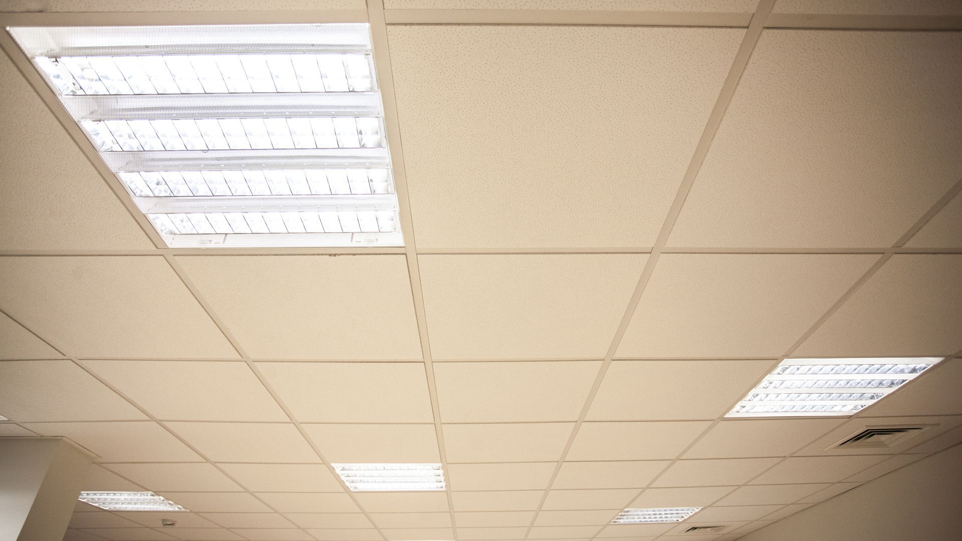 Eine Glühbirne leuchtet vor einem Hintergrund