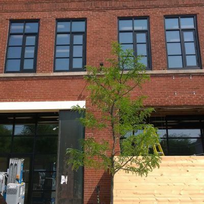 A brick building with a lot of windows and a tree in front of it
