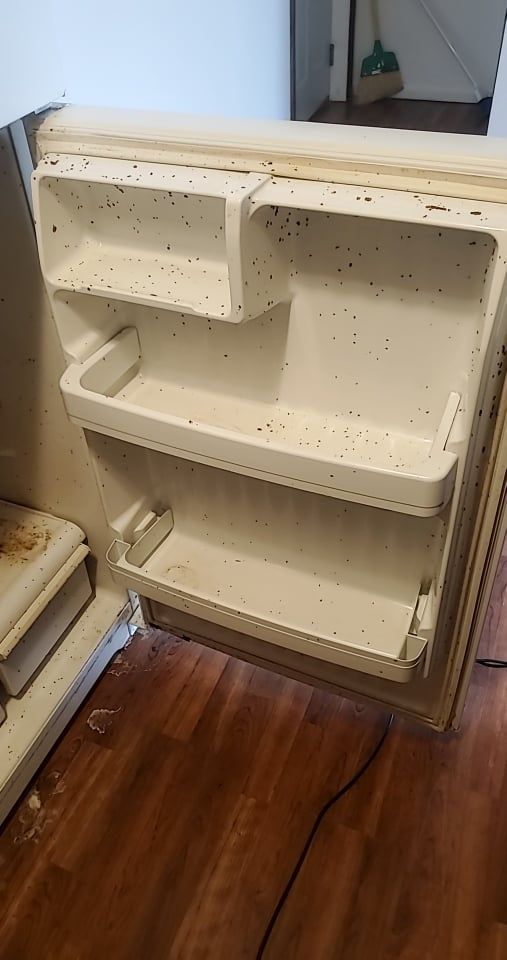 An empty refrigerator with the door open is sitting on a wooden floor.