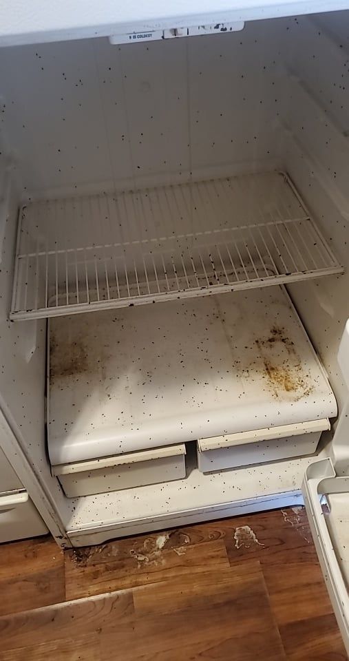 The inside of an empty refrigerator with a shelf and drawers.