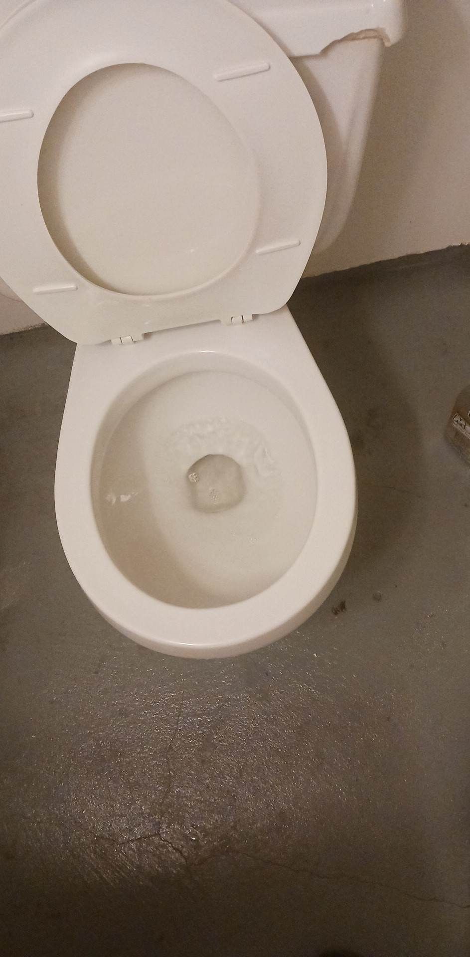 A white toilet is sitting on a gray floor in a bathroom.