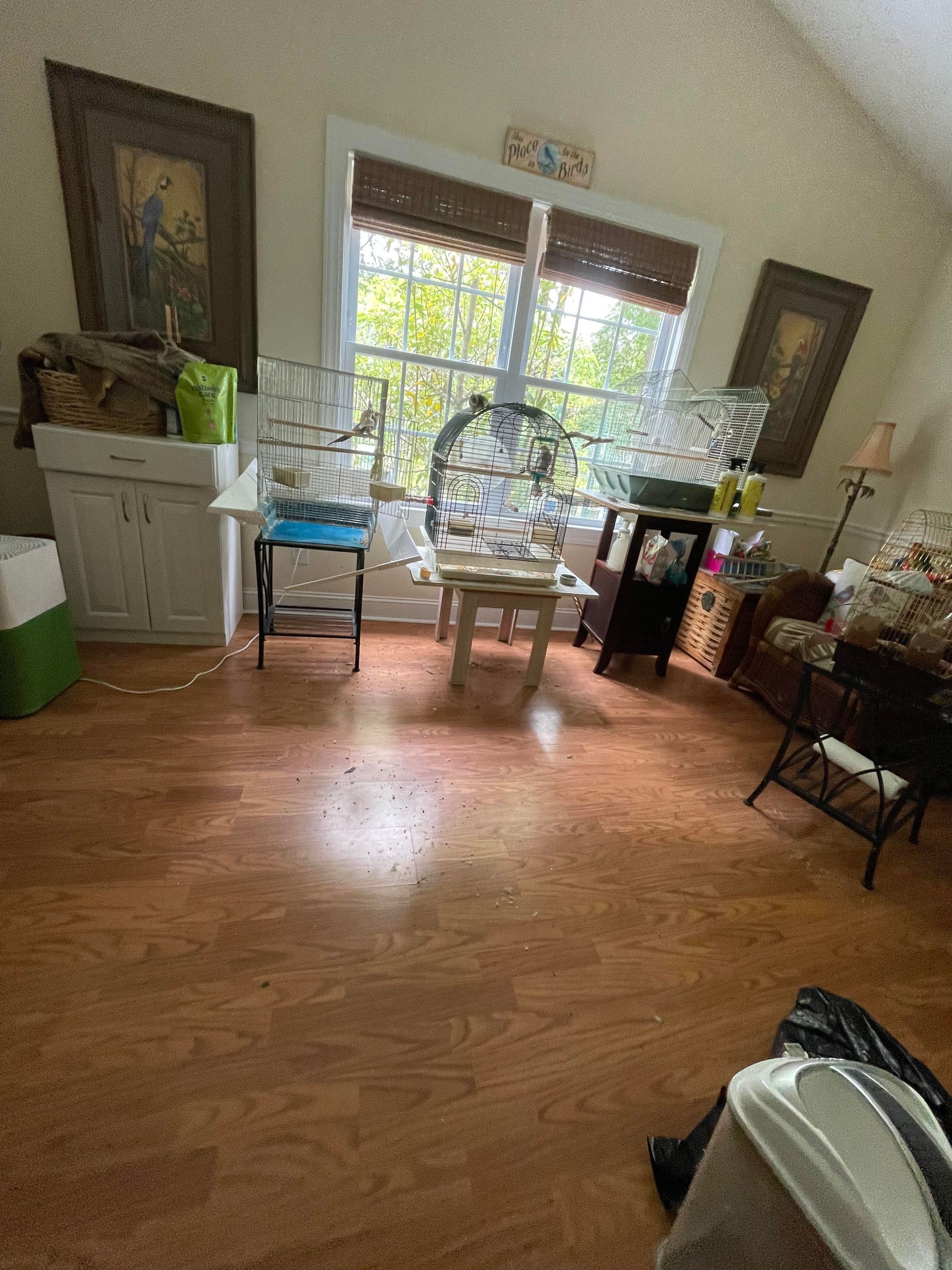 A living room filled with furniture and a bird cage.