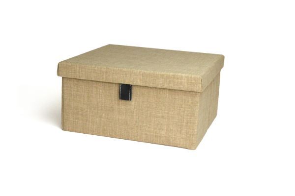 Beach Color Option for Storage Box Organizer