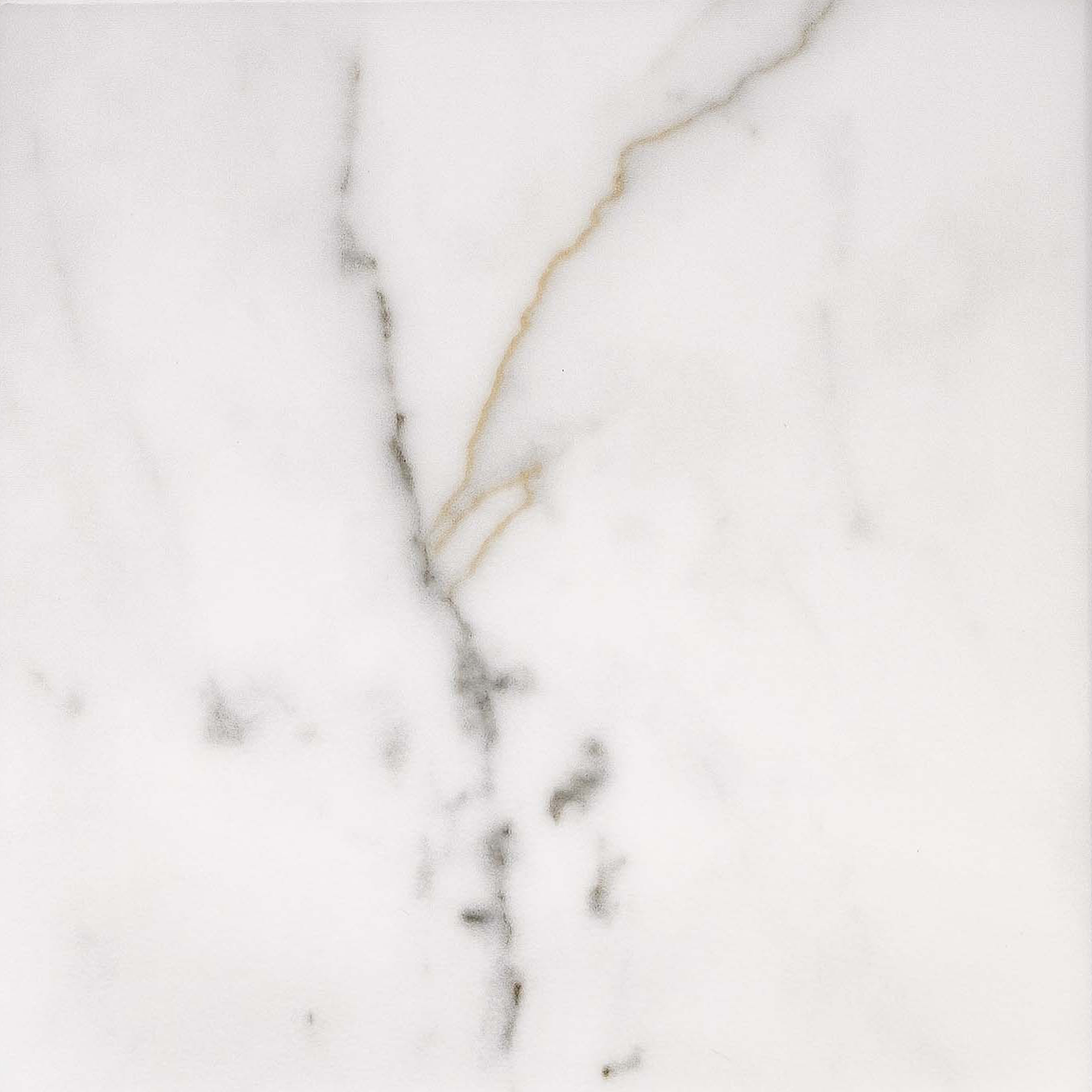 Marble Finish Option for Countertops