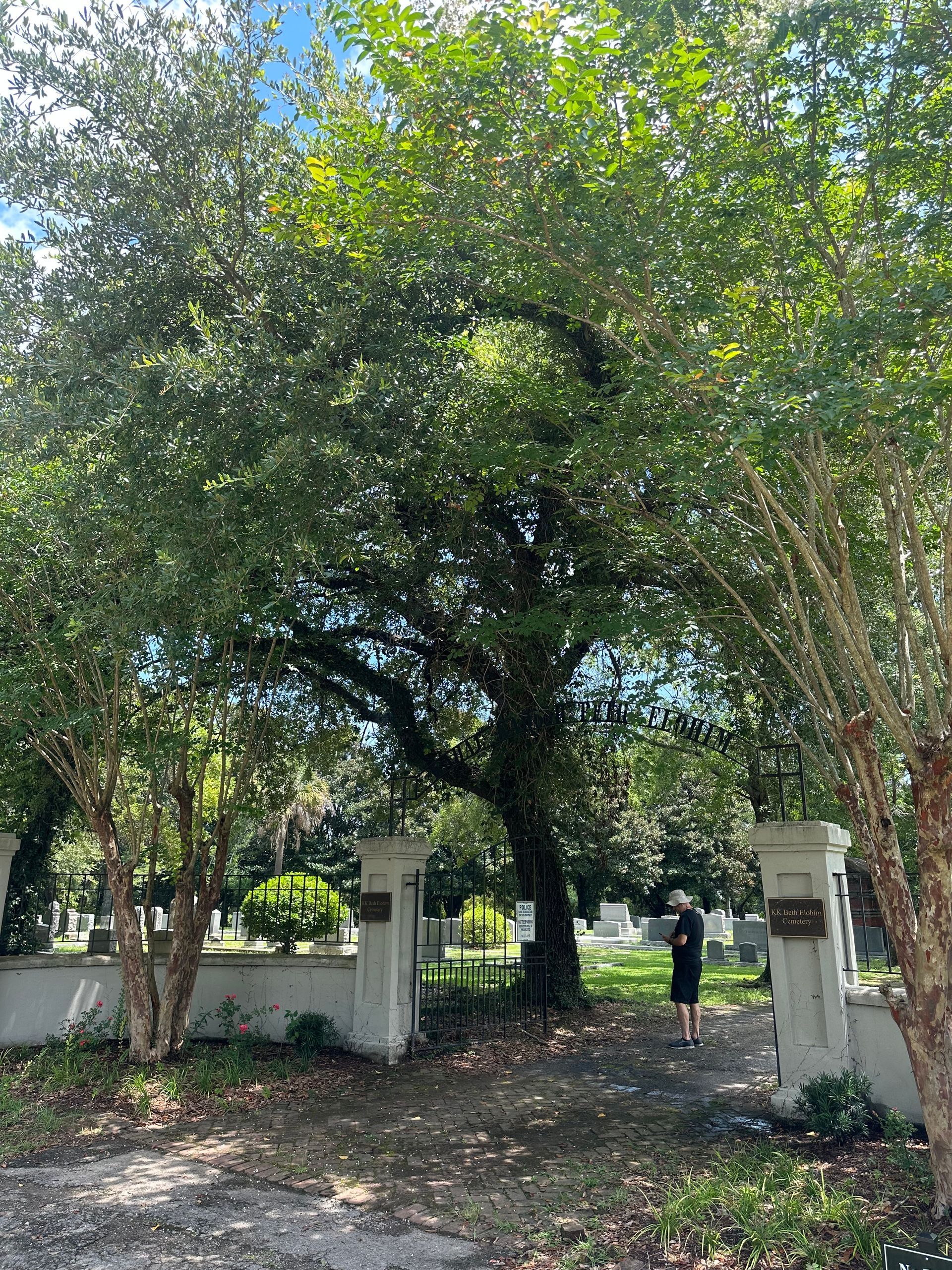 Paz Tree Service Charleston