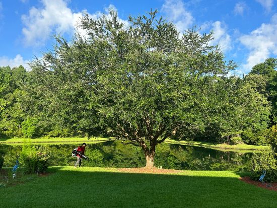 Paz Tree Care Charleston