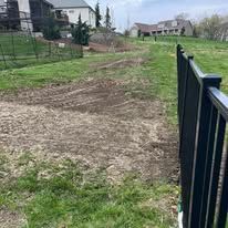 A grassy area next to a black fence and a dirt path. Buildings visible in the background.