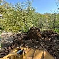 Yellow front-end loader moving dirt with a large tree stump in a wooded area on a sunny day.