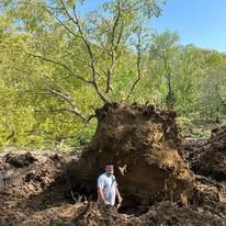 Man standing near a fallen tree with exposed roots; dirt and foliage in the background.