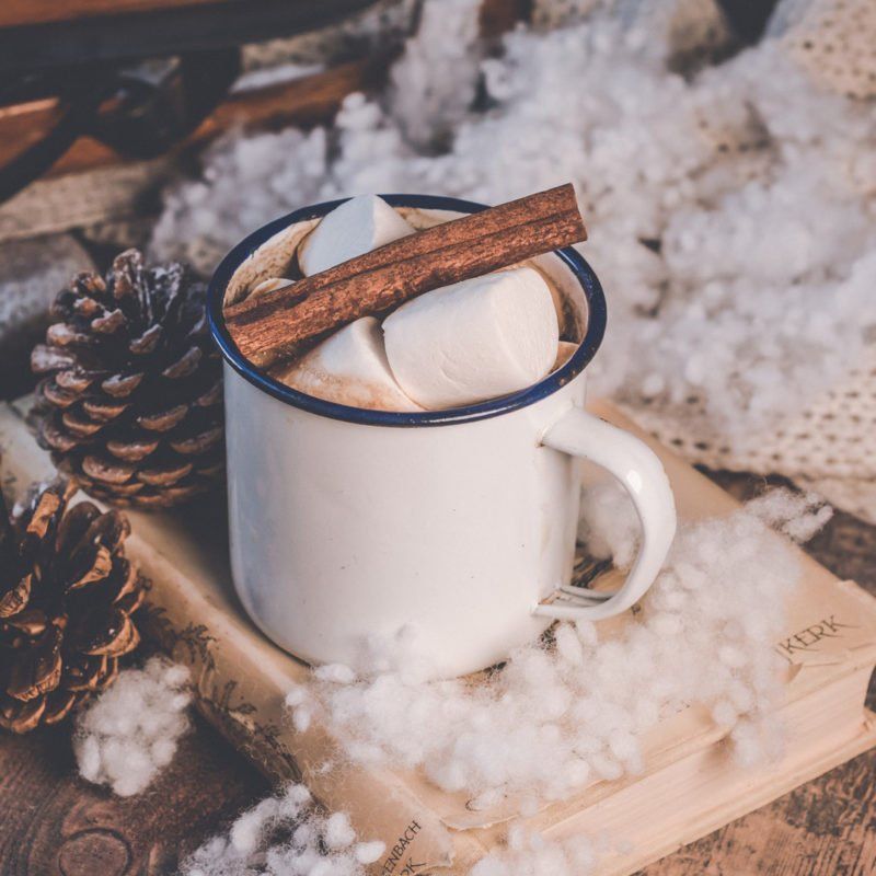 White mug of hot chocolate with marshmallows and cinnamon stick, on a book with pinecones, surrounded