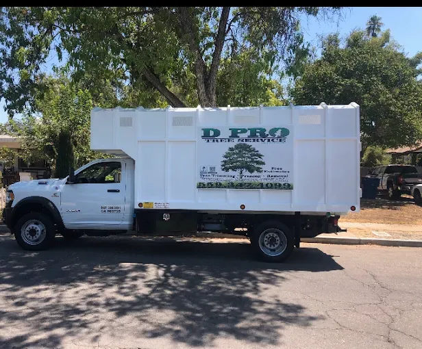 A white truck with the word pro on the side is parked on the side of the road.