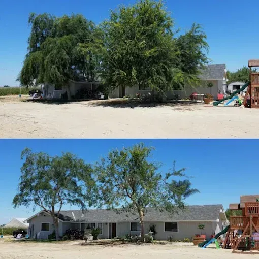 A before and after picture of a tree in front of a house.