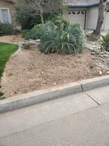 A house with a lot of plants in front of it.