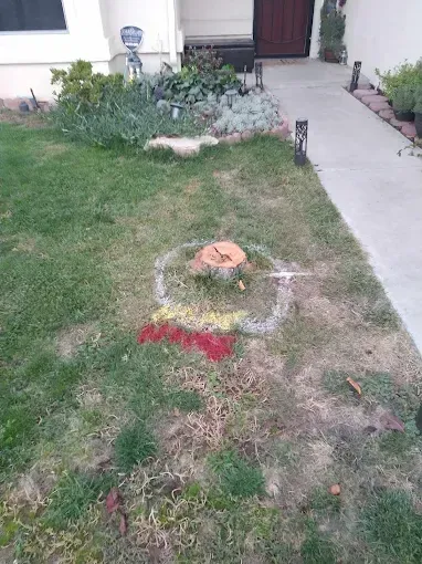 A stump in the grass in front of a house with a smiley face drawn on it.