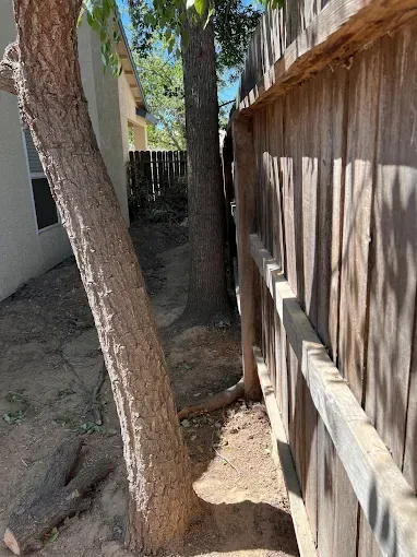 A wooden fence with a tree in the middle of it.