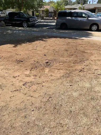 A truck and a van are parked in a dirt lot.