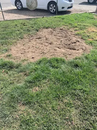 A white car is parked in a grassy area next to a fence.