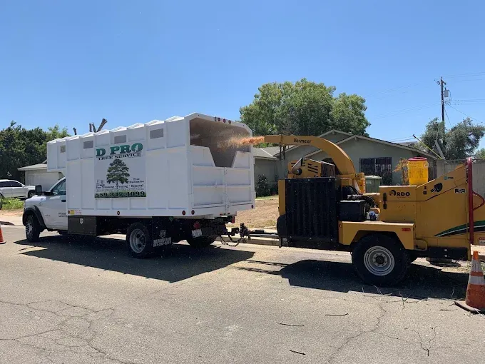 A tree chipper is attached to a white truck.