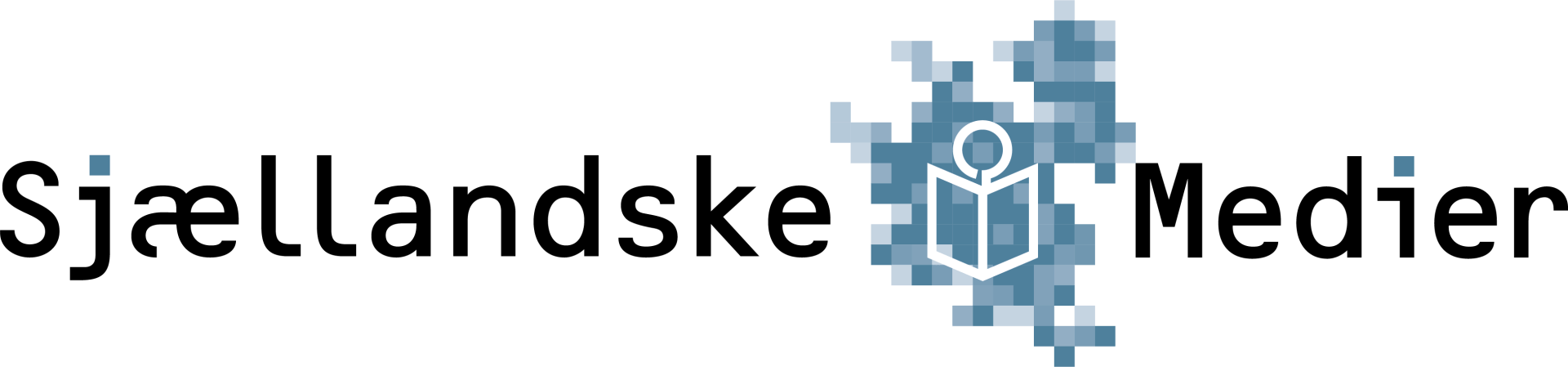 sn.dk logo
