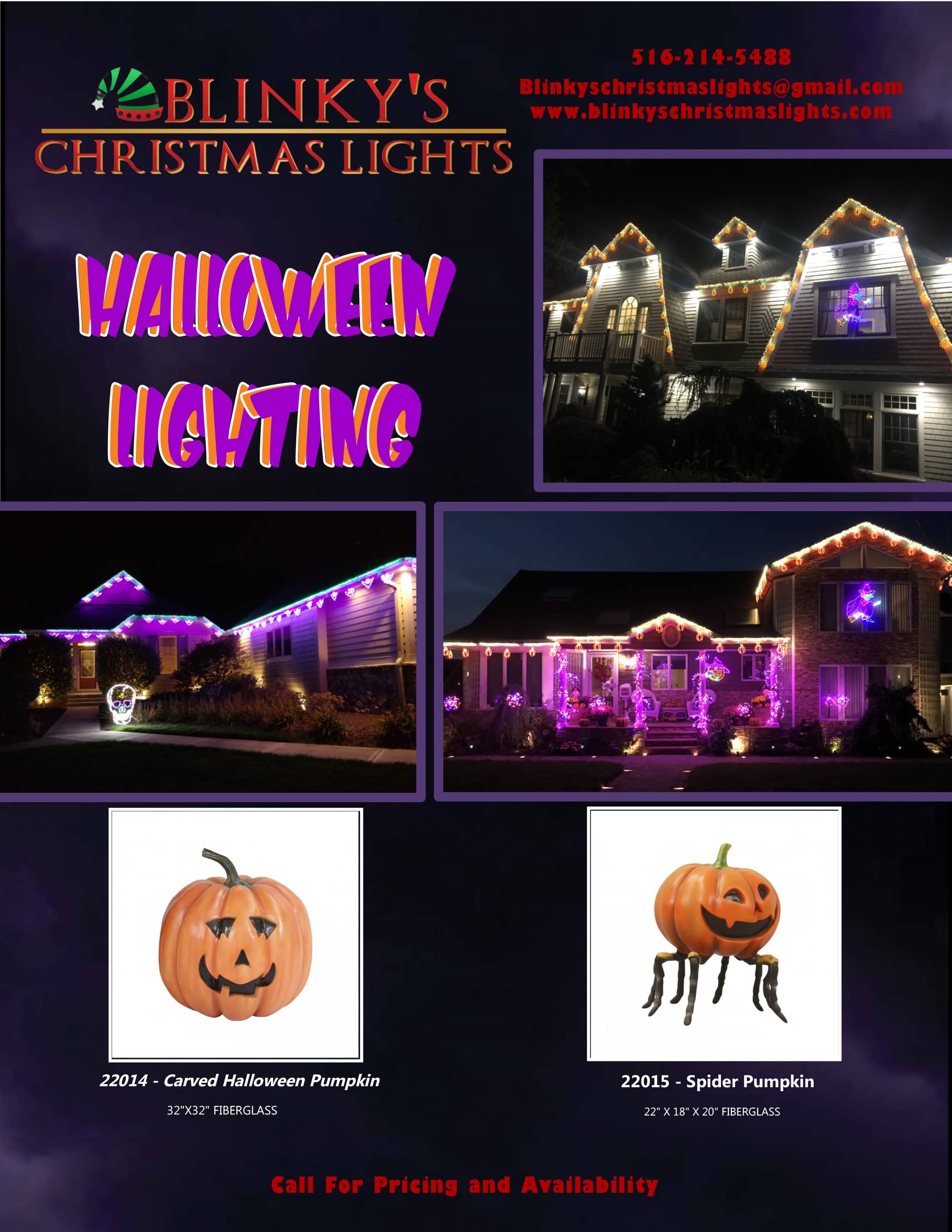 Blinky's Christmas Lights Design, Installation & Storage