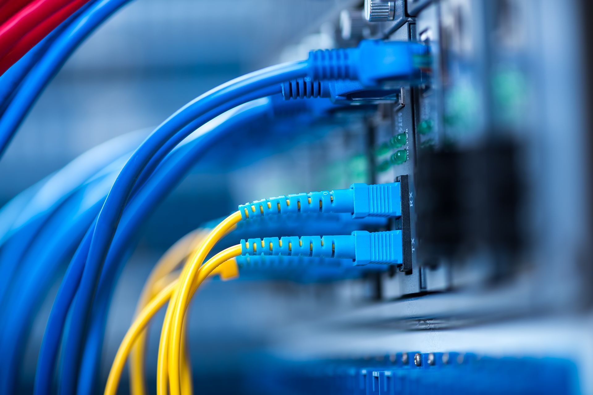 A bunch of blue and yellow cables are connected to a server.