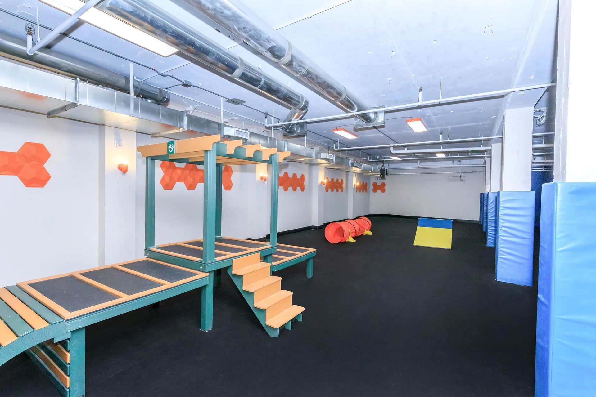 Indoor dog agility course with black floor, agility equipment, and decorative wall accents.