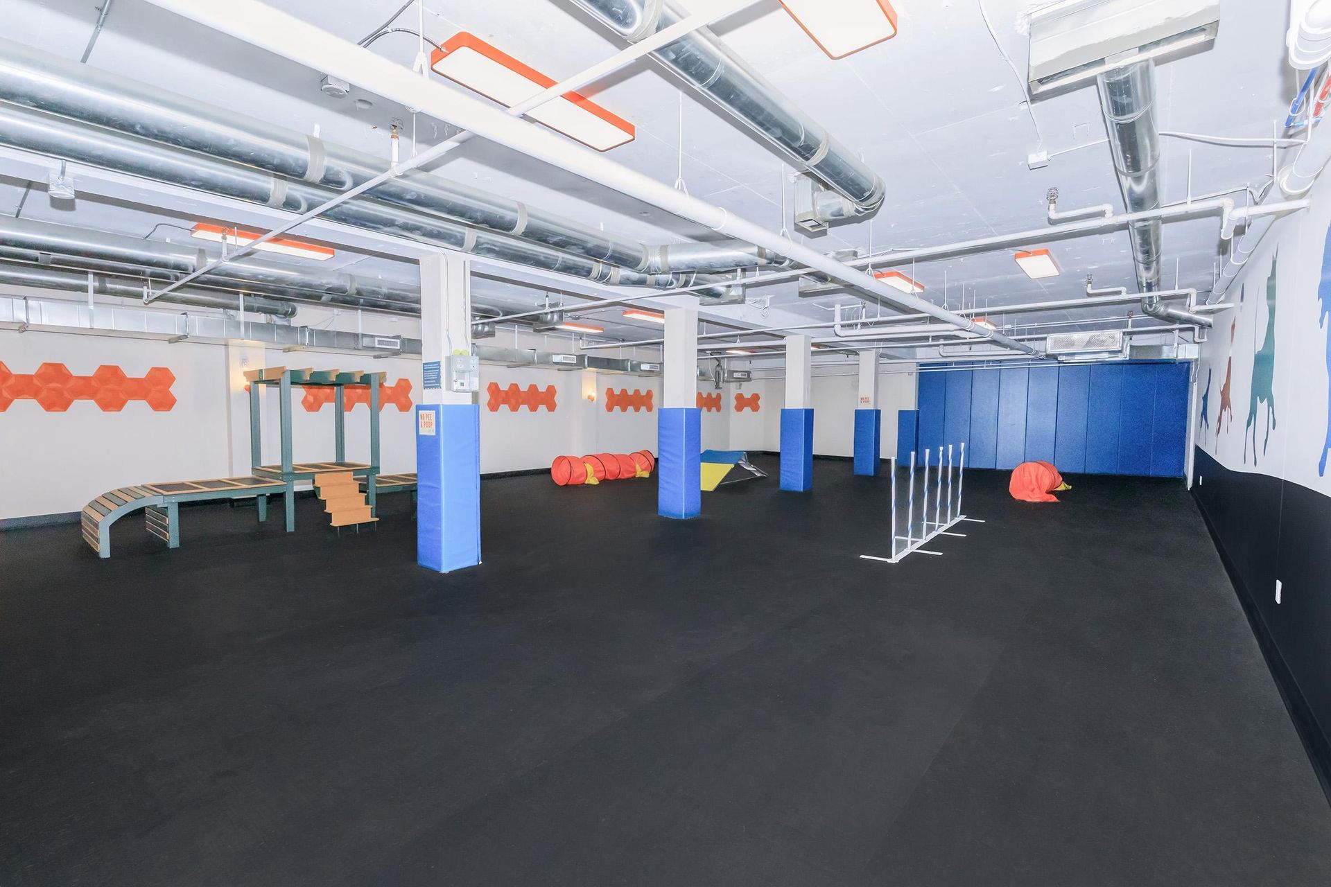 Dog agility training room with obstacles, blue columns, and dark flooring.