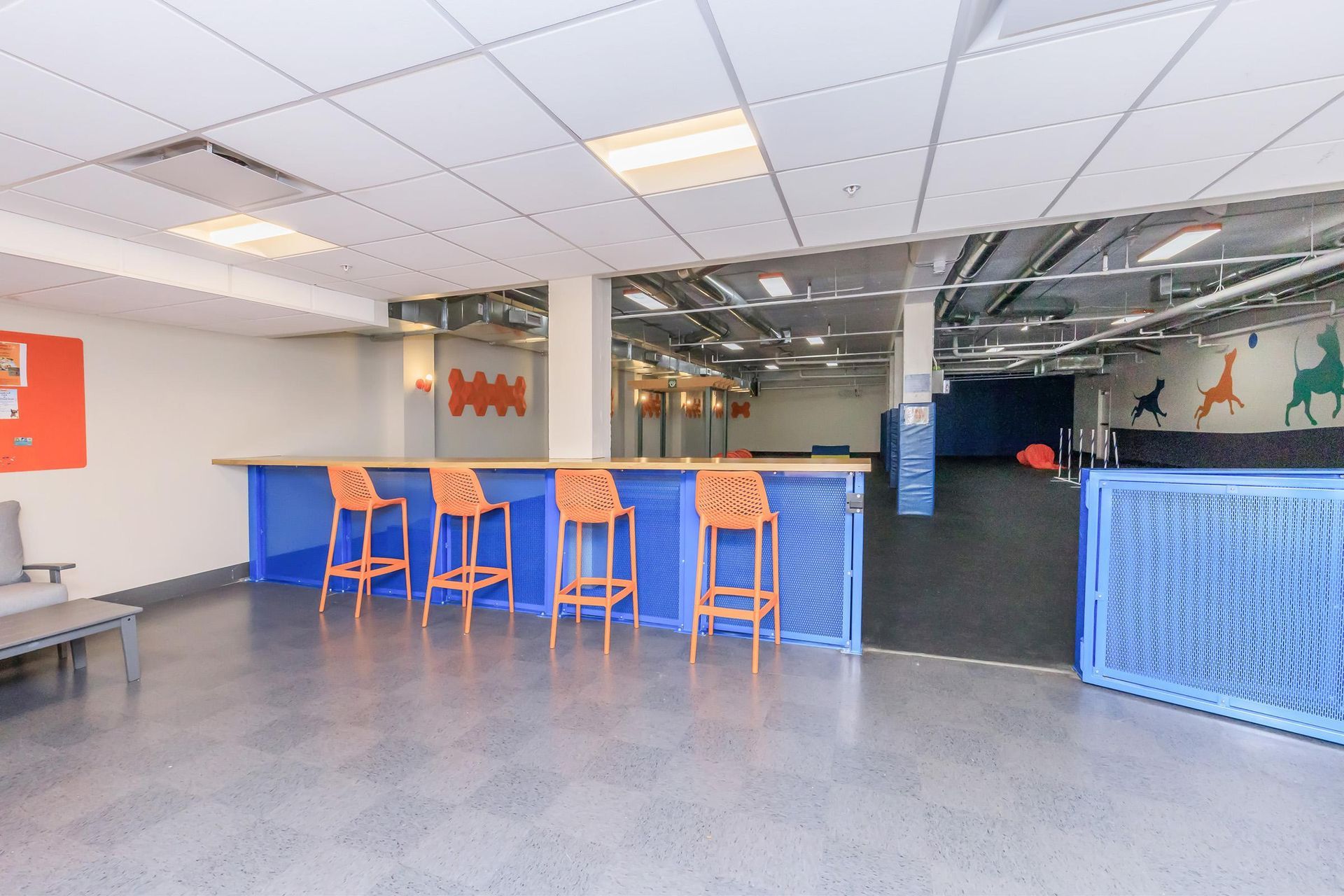 Blue and orange bar with stools in a large, open room with dog-themed wall art.