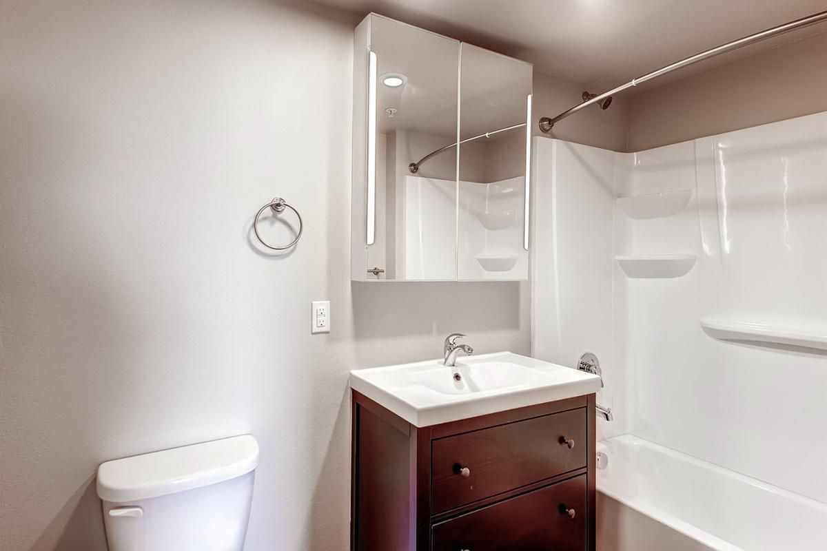 Bathroom with white toilet, dark vanity, and white tub/shower.