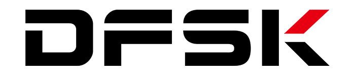 DFSK LOGO