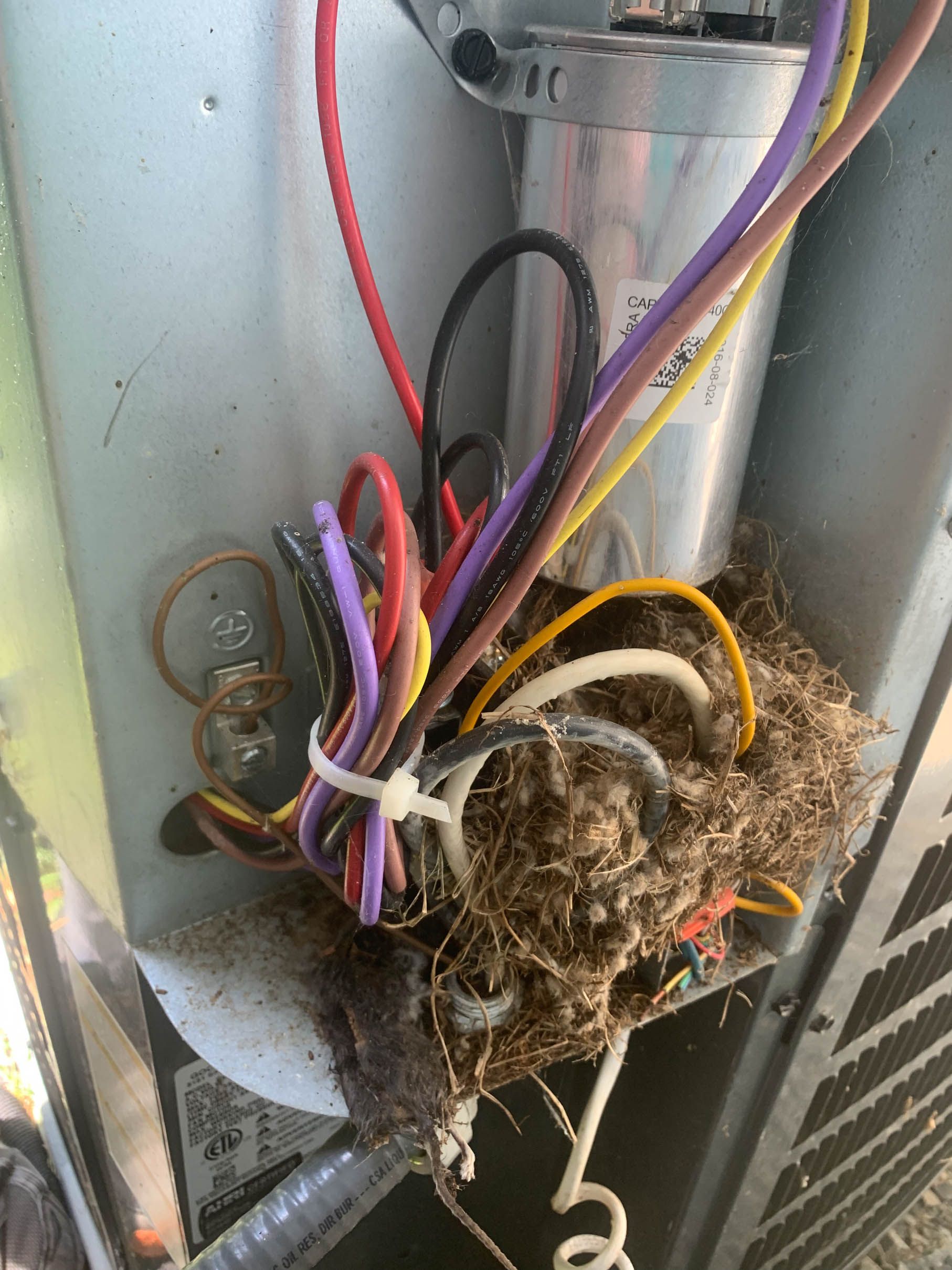 A bunch of wires are coming out of a machine.