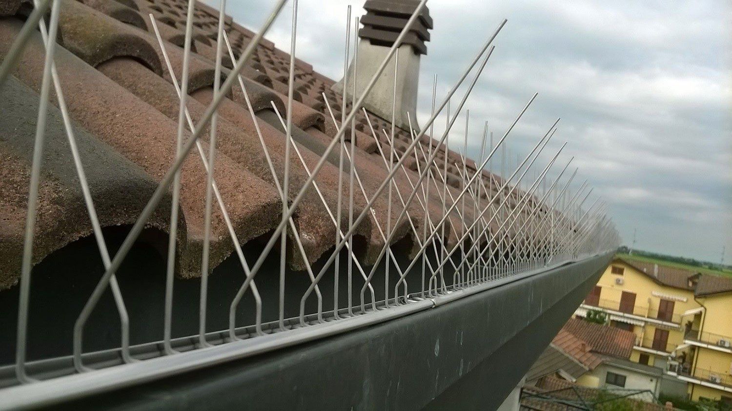 trattamento contro parassiti