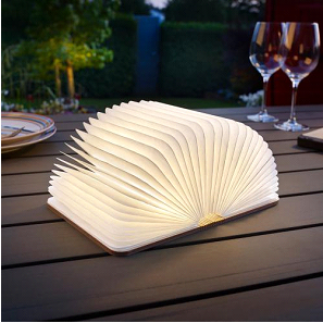 Eine Buchlampe steht neben zwei Weingläsern auf einem Holztisch.